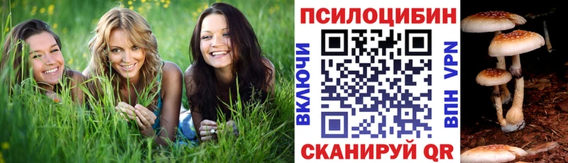 darknet телеграм ссылка на мегу ссылка Межгорье Галлюциногенные грибы ЛСД